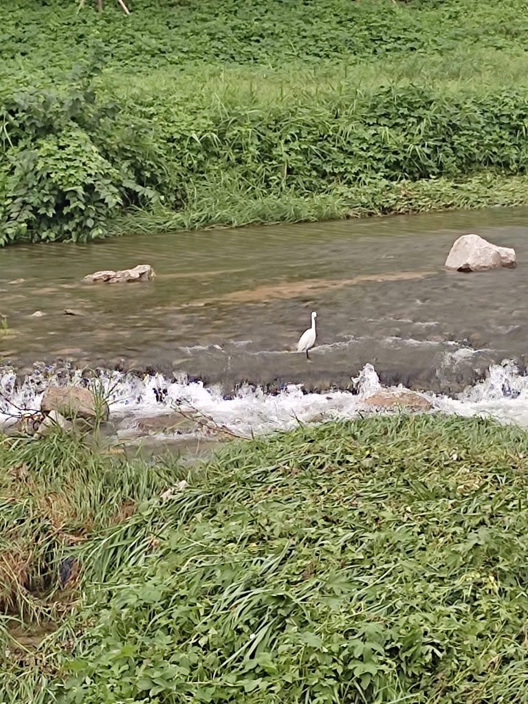 백석천